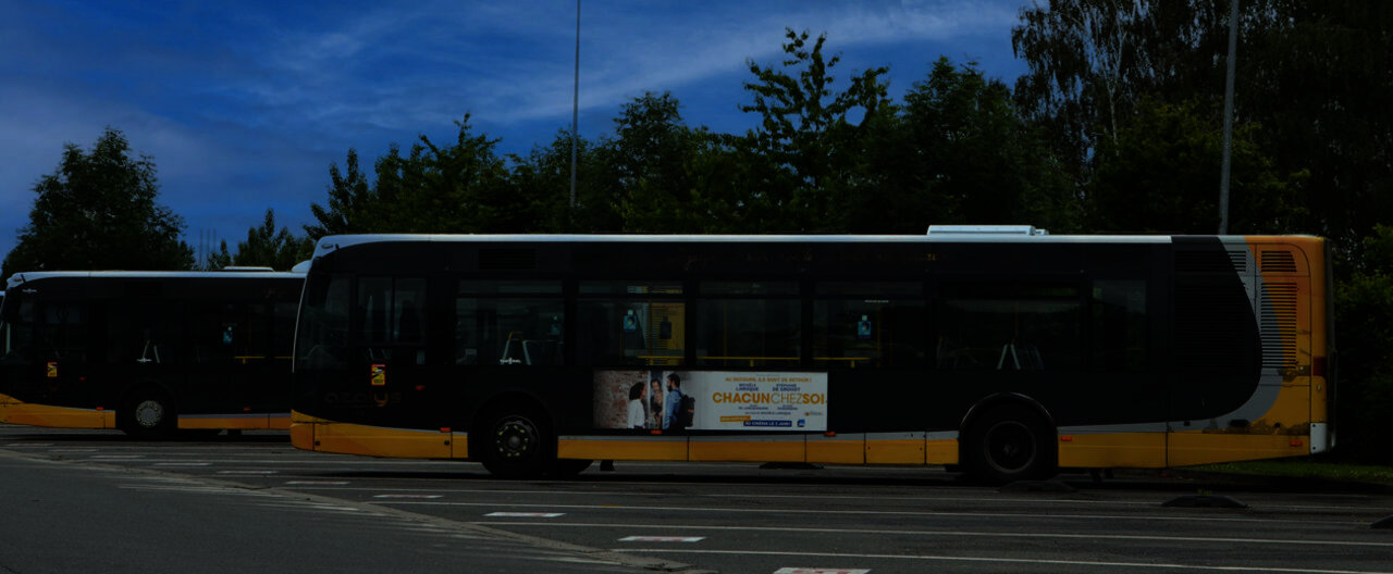 azalys_portail_4.jpg